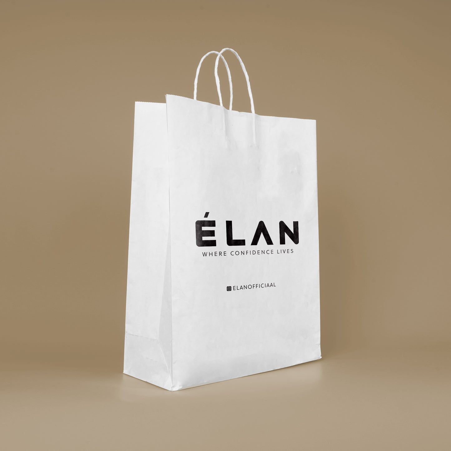 Paper Shopping Bag (8x4x10)