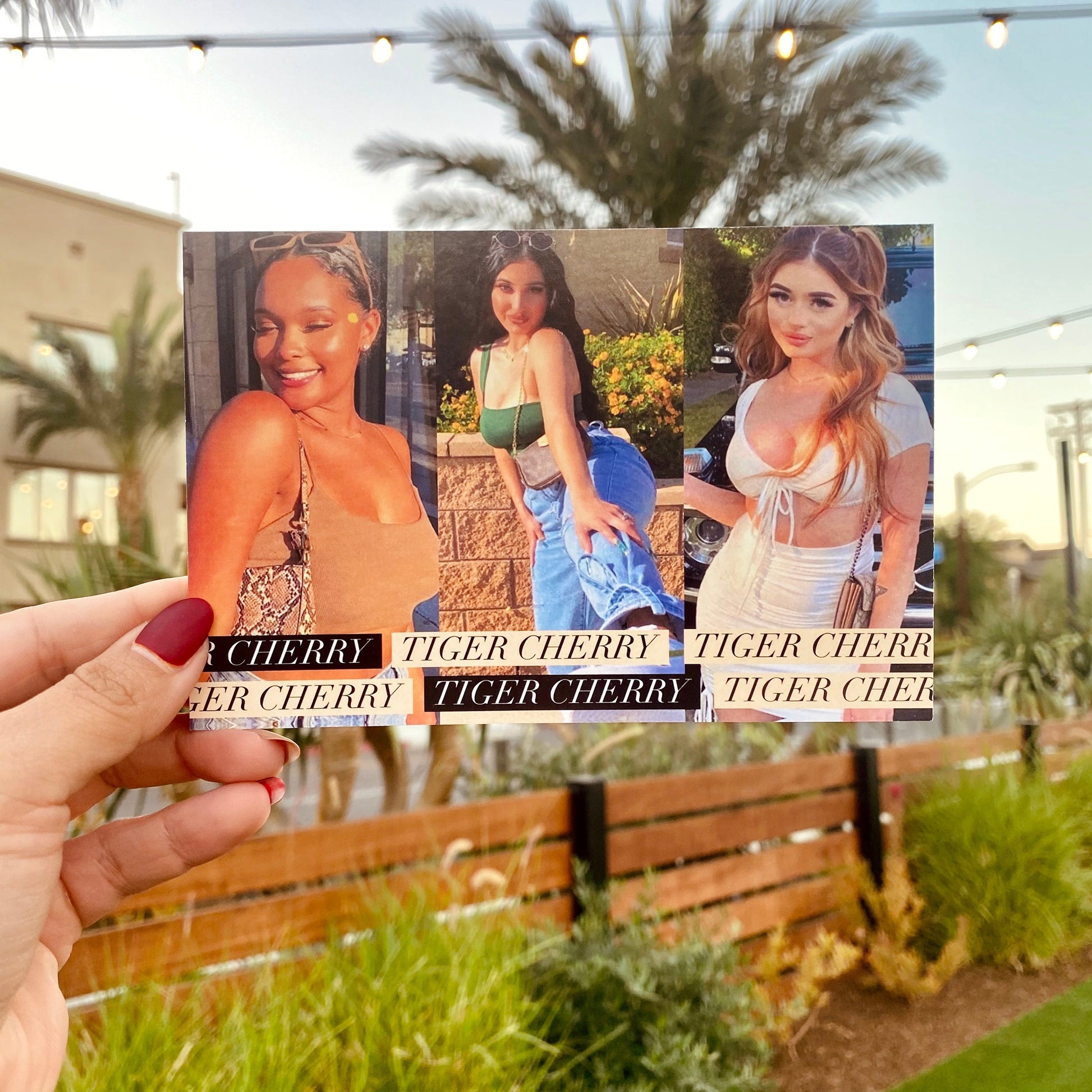 Glossy Postcard - Golden State Print