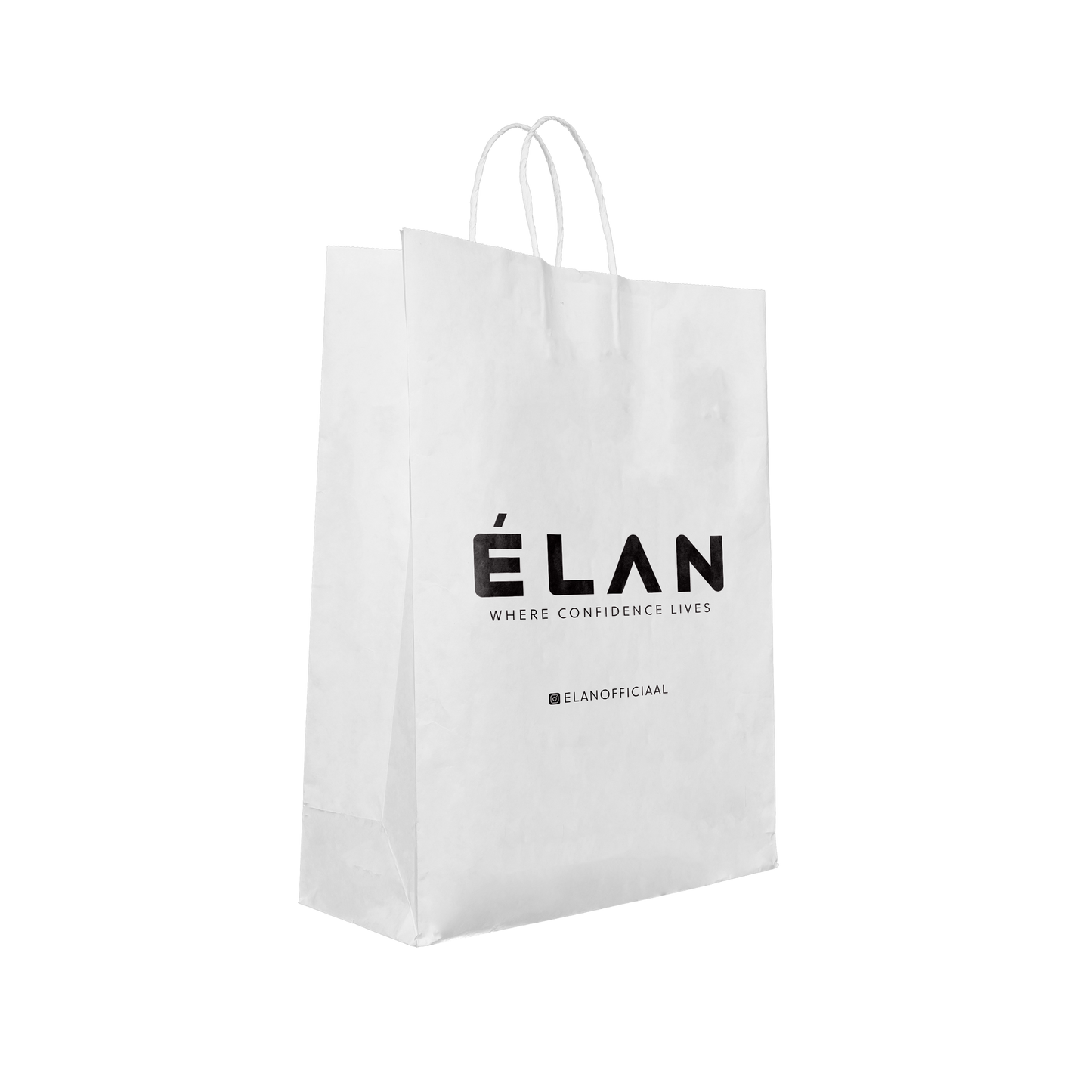 Paper Shopping Bag (8x4x10)